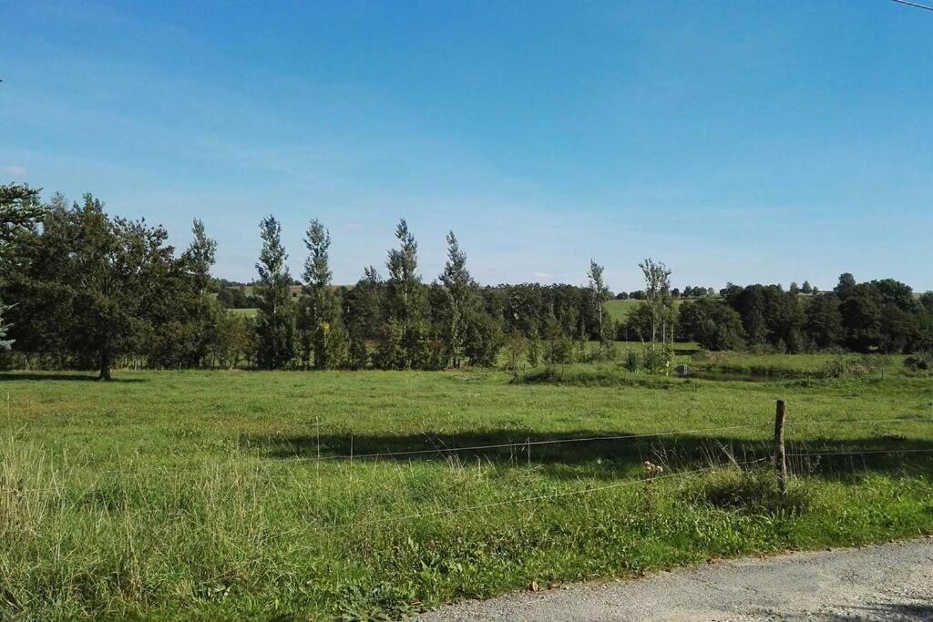 Ferienwohnung In Mittelsaida Grosshartmannsdorf Bagian luar foto