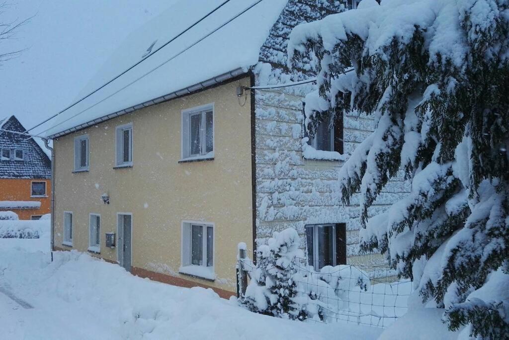 Ferienwohnung In Mittelsaida Grosshartmannsdorf Bagian luar foto