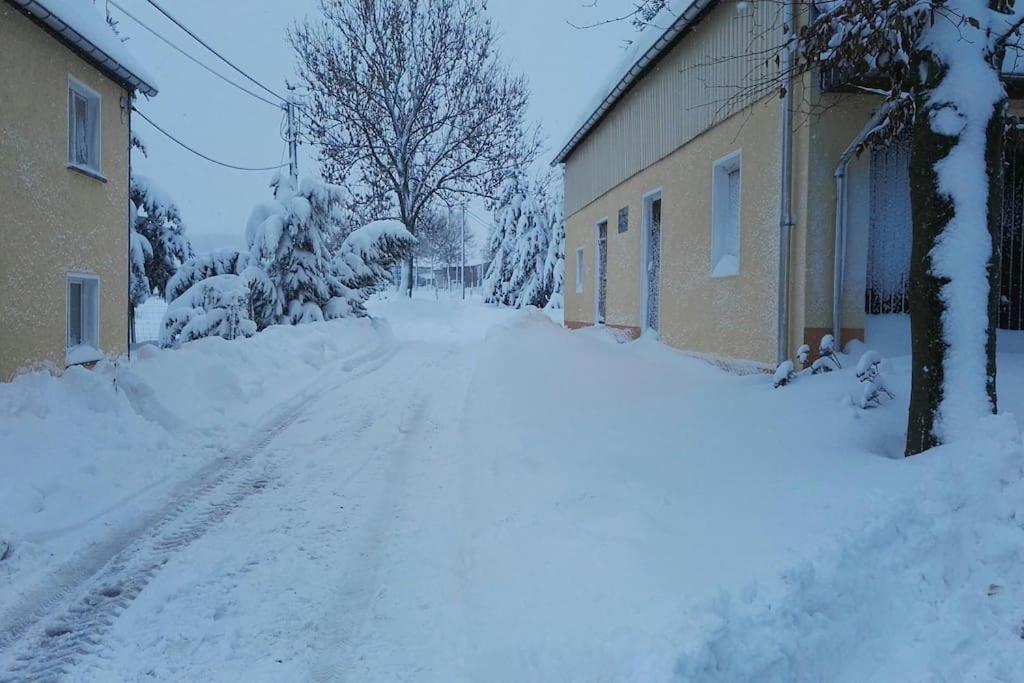 Ferienwohnung In Mittelsaida Grosshartmannsdorf Bagian luar foto